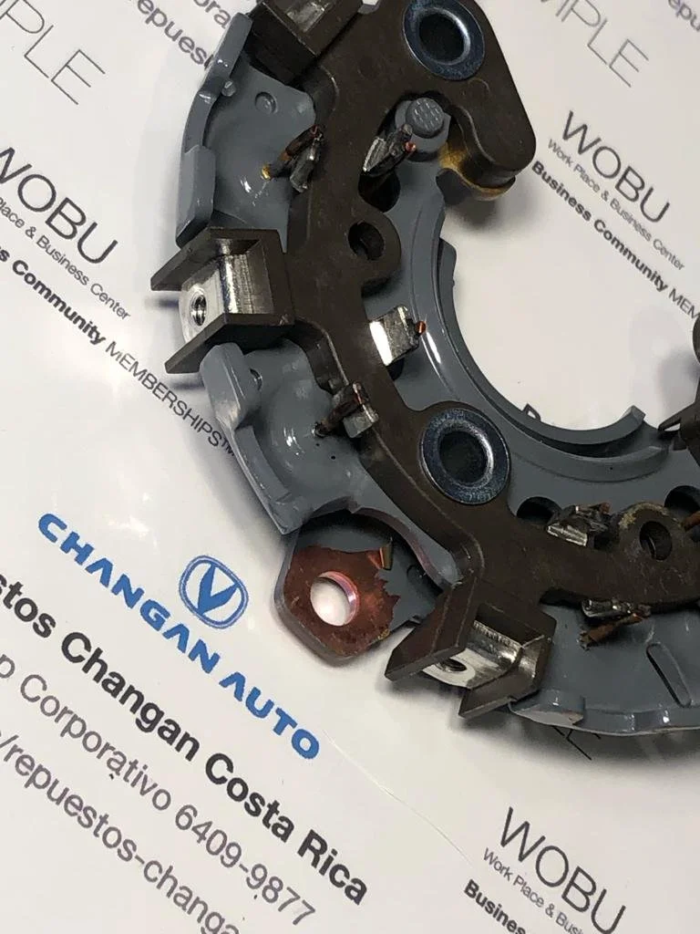 02 Generacion Placa diodos Changan Benni 10.jpeg