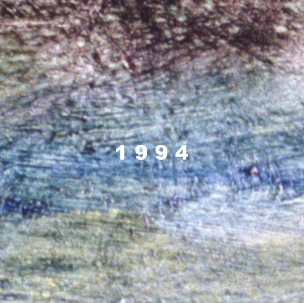 1994