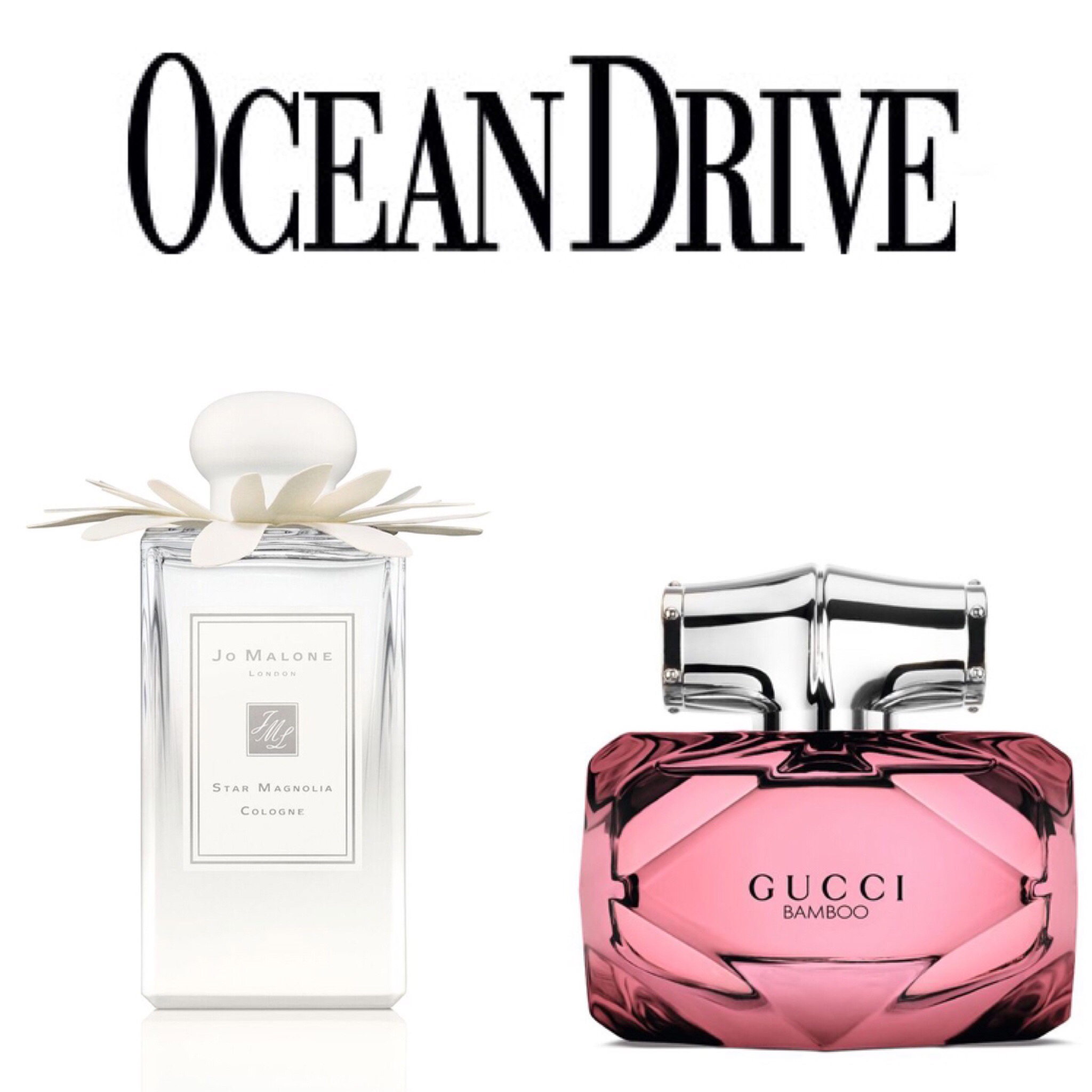  https://oceandrive.com/beautiful-fragrances-to-wear-in-the-springtime 