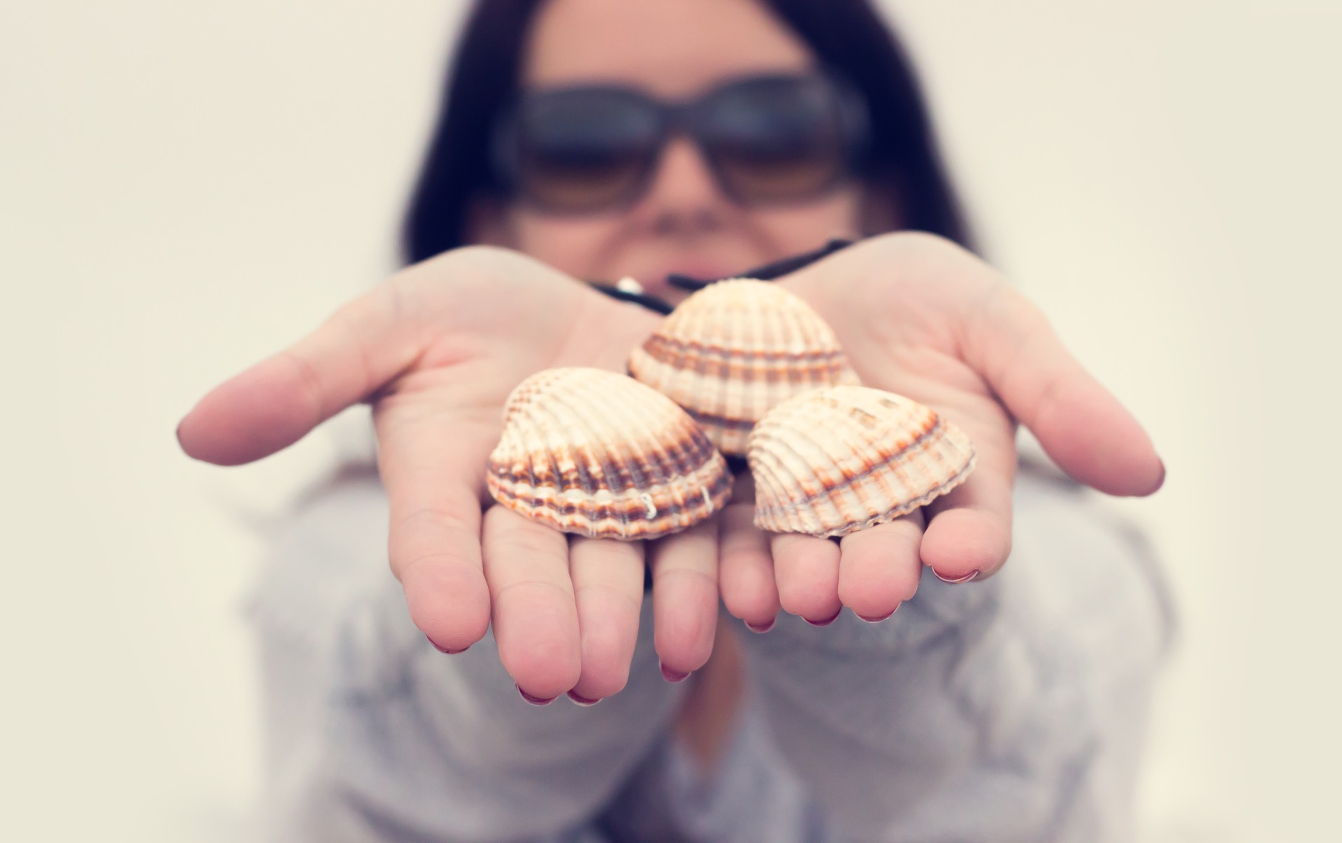 shells in hand.jpg