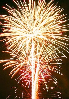 fireworks-cruise_3_3.jpg