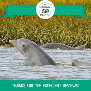 ITC Joins the Trip Advisor HALL of FAME
