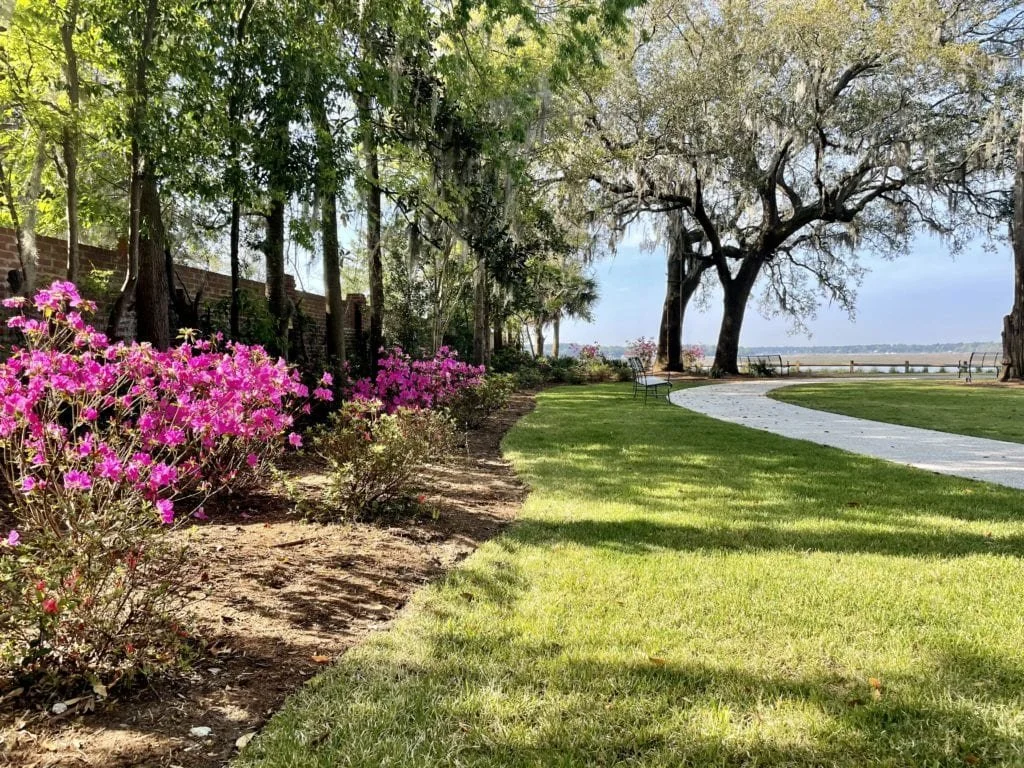 bluffton boat tour-2 - island time charters.jpeg