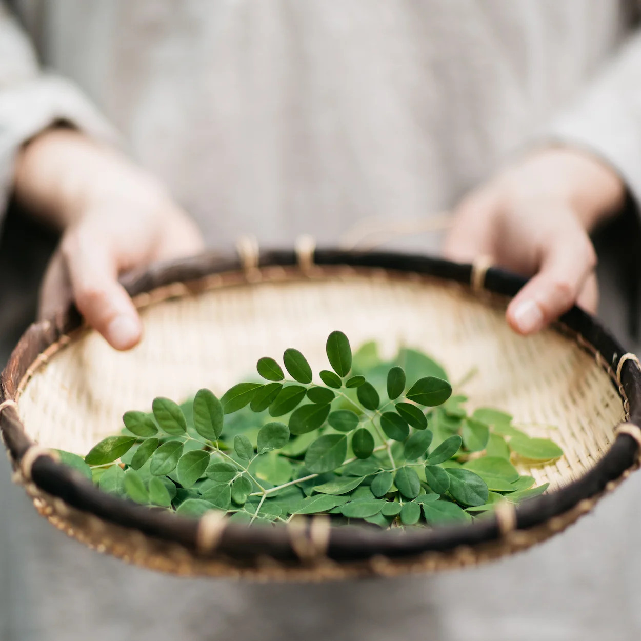 Why It's Important to Detoxify the Blood