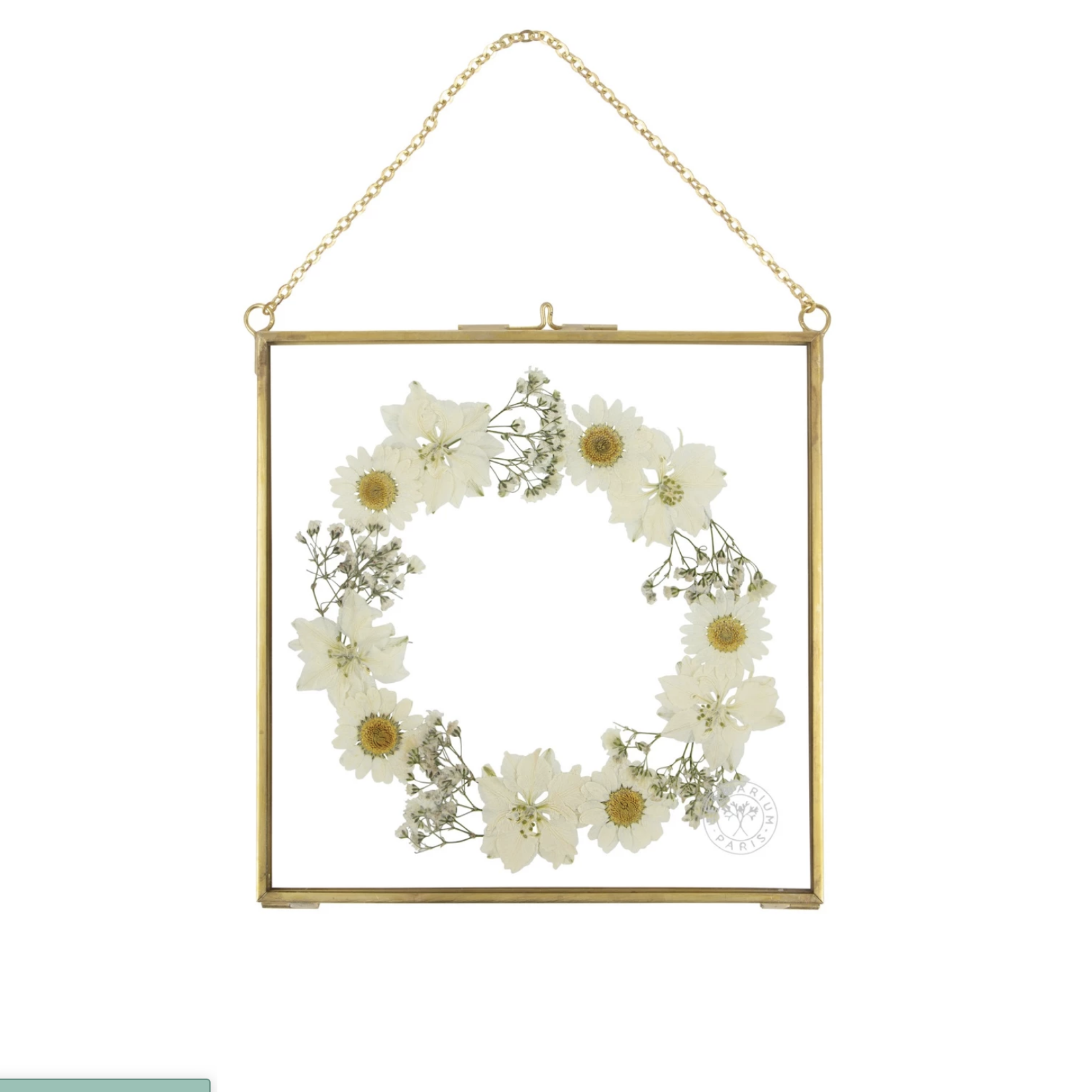 7. Dried flowers from Herbarium