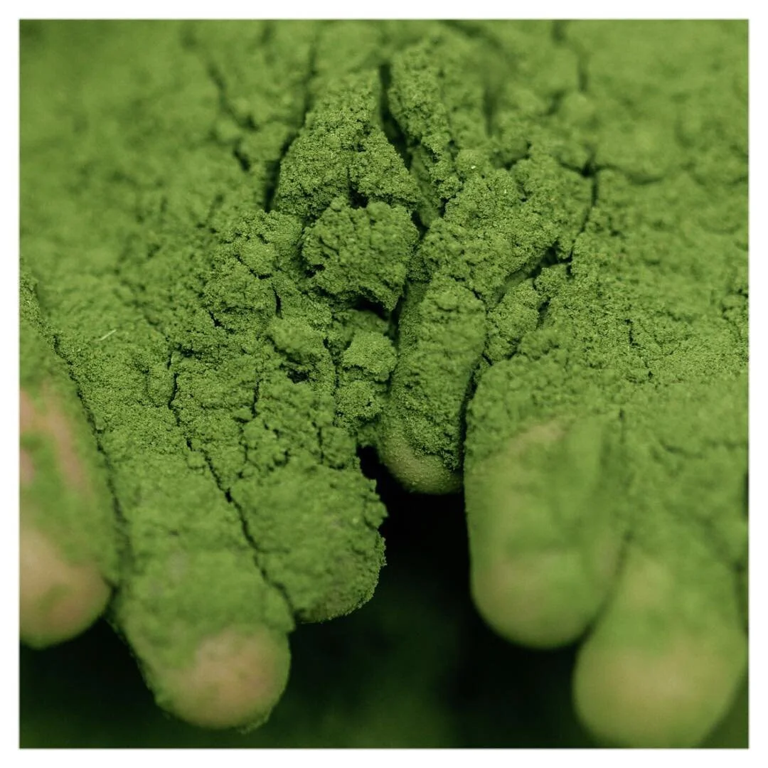 Moringa green hands *.jpg