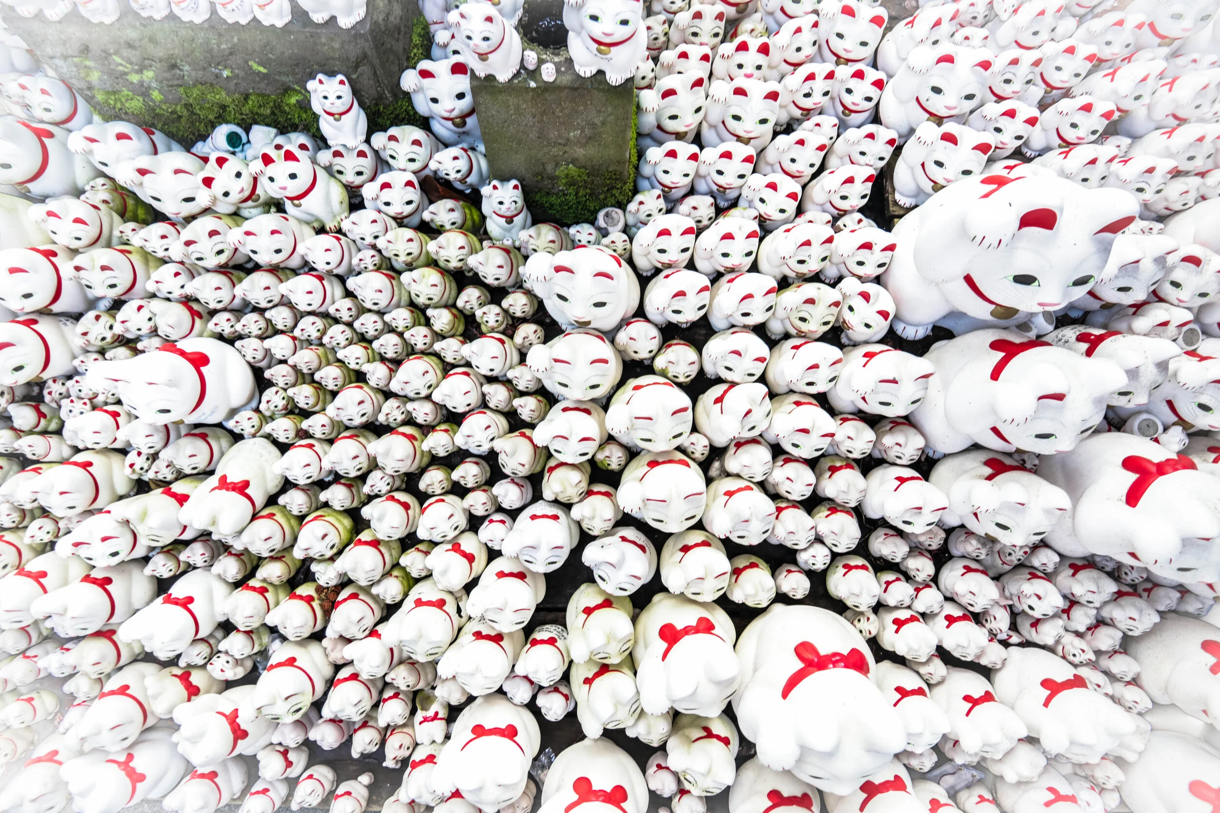 gotokuji 2 vingette.jpg