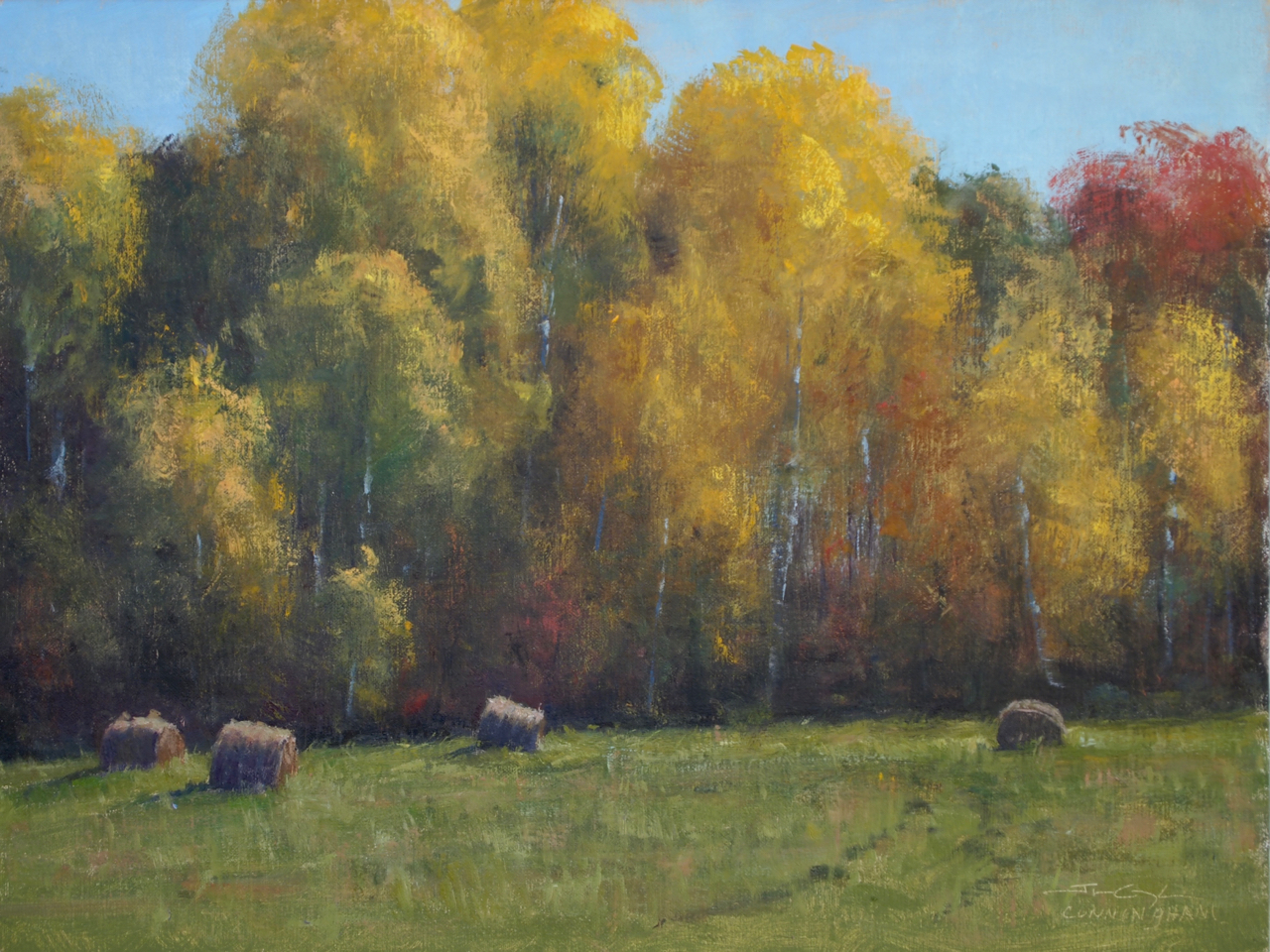 Bales and Birches