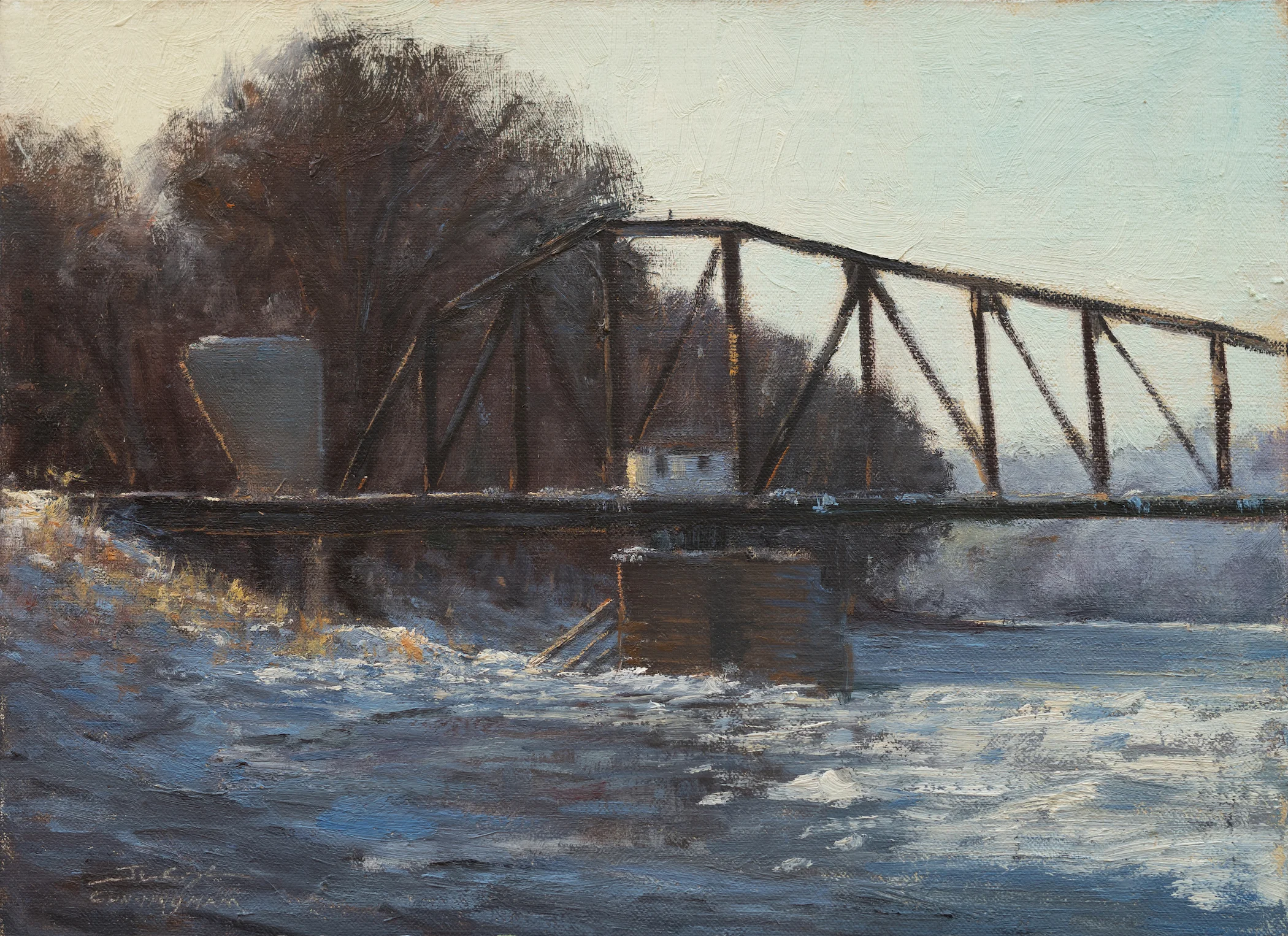 Winter along the Mississippi