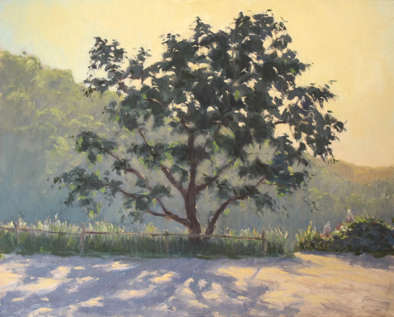 "Above the Vineyard" Oil on Linen 16"x20", Private Collection Second Place Plein Air Art Festival, Red Wing MN 2008