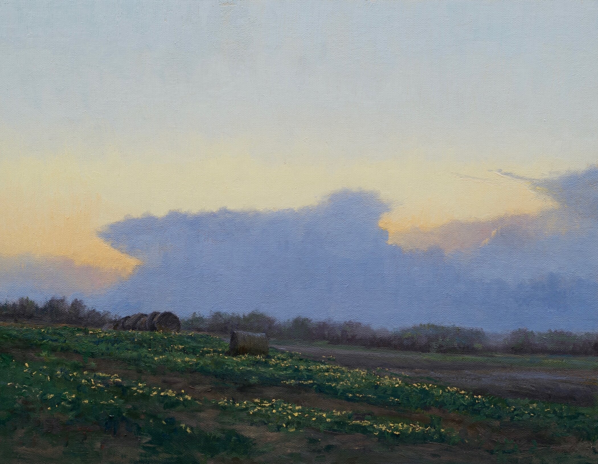 SOLD - May Evening