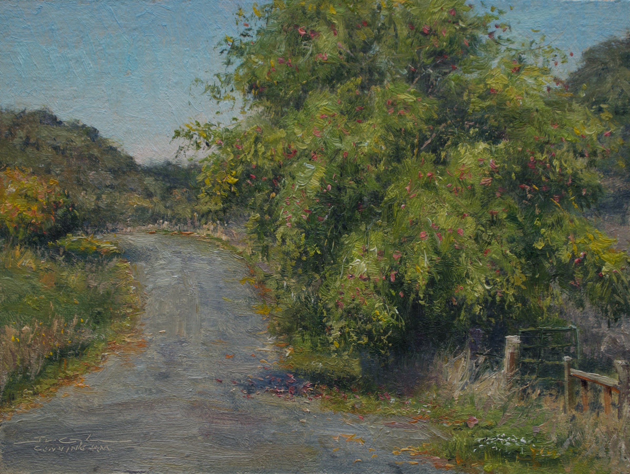 Road Apples