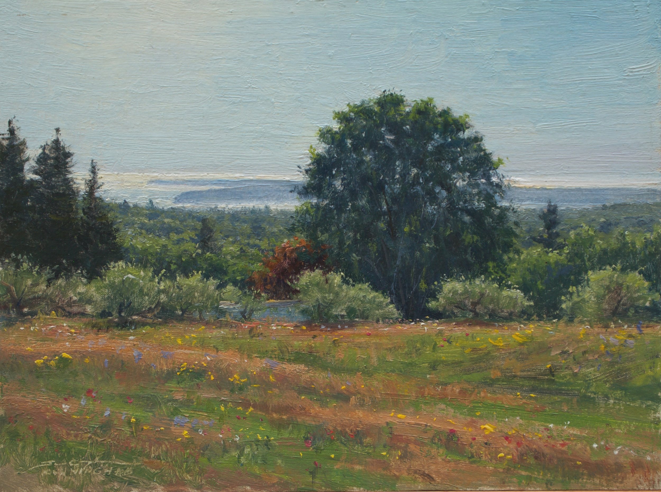 Islands Above the Orchard
