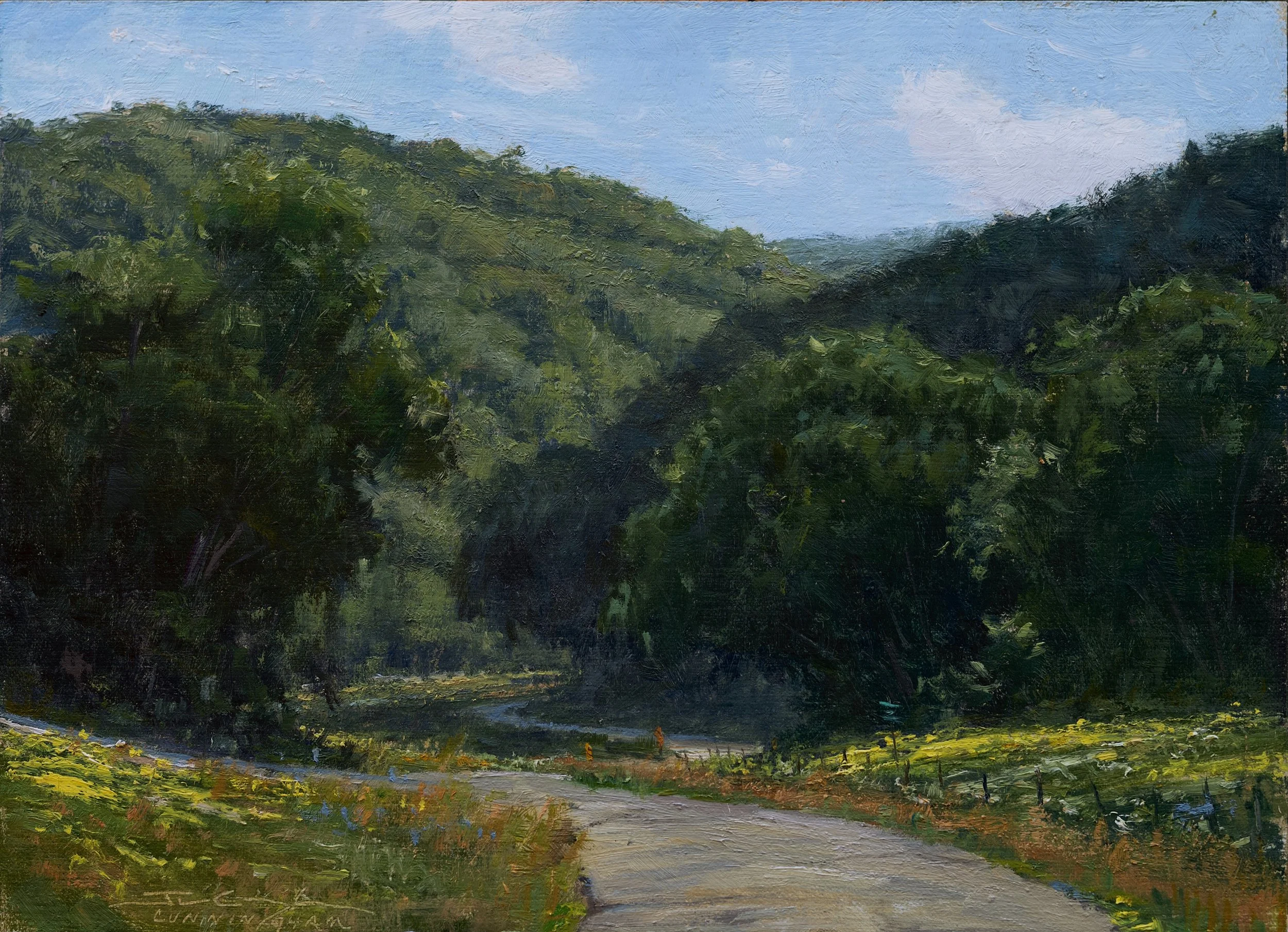 Wildflowers and Cloud Shadows