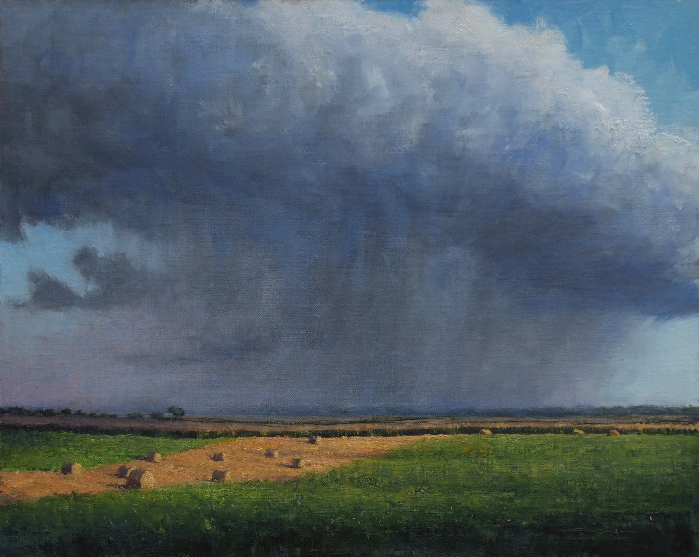 Olson-Larsen Galleries: ARTIST