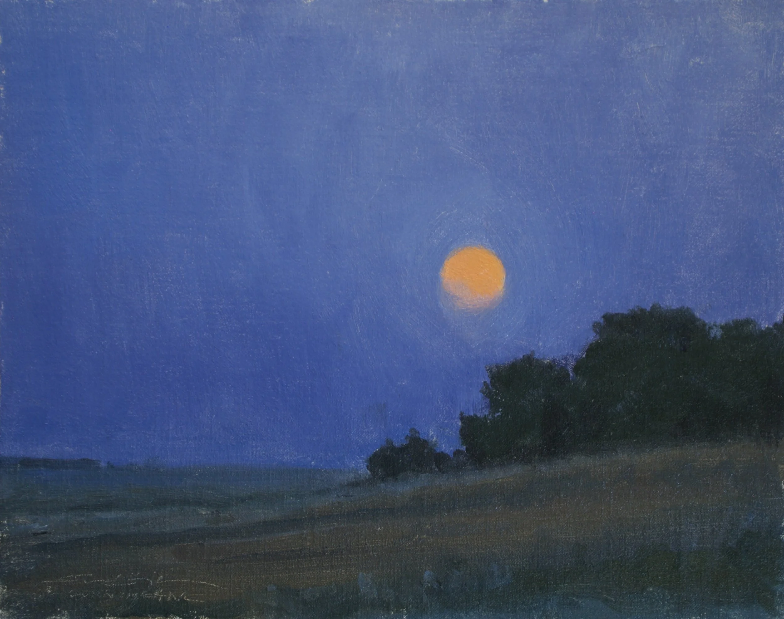 Hazy Harbinger