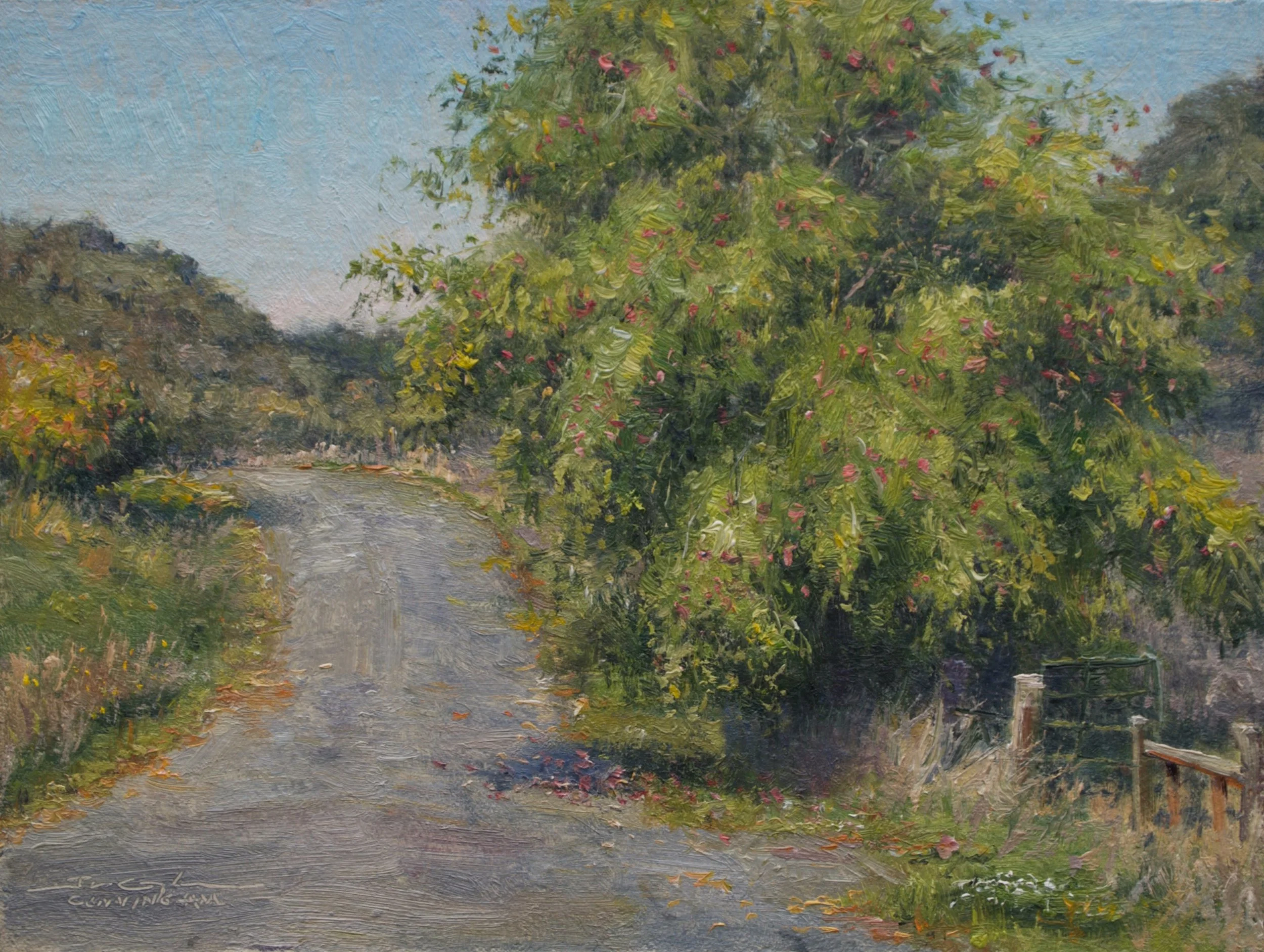 Road Apples