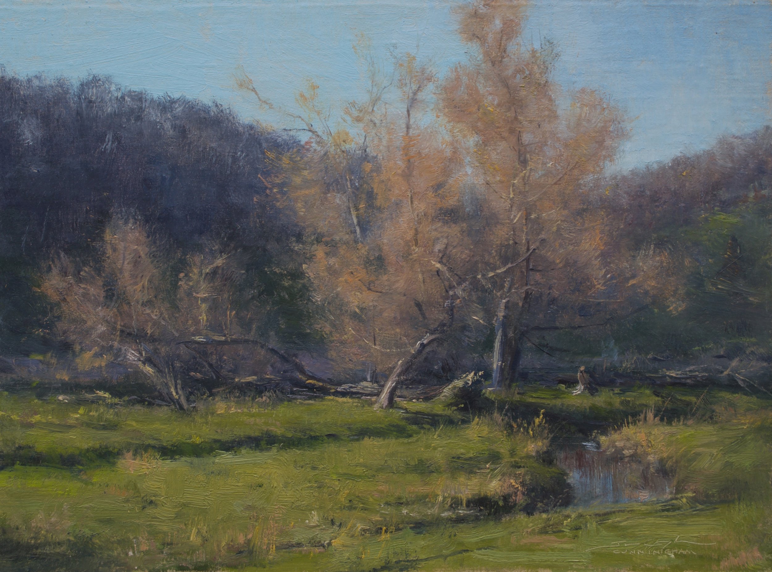 November Willows