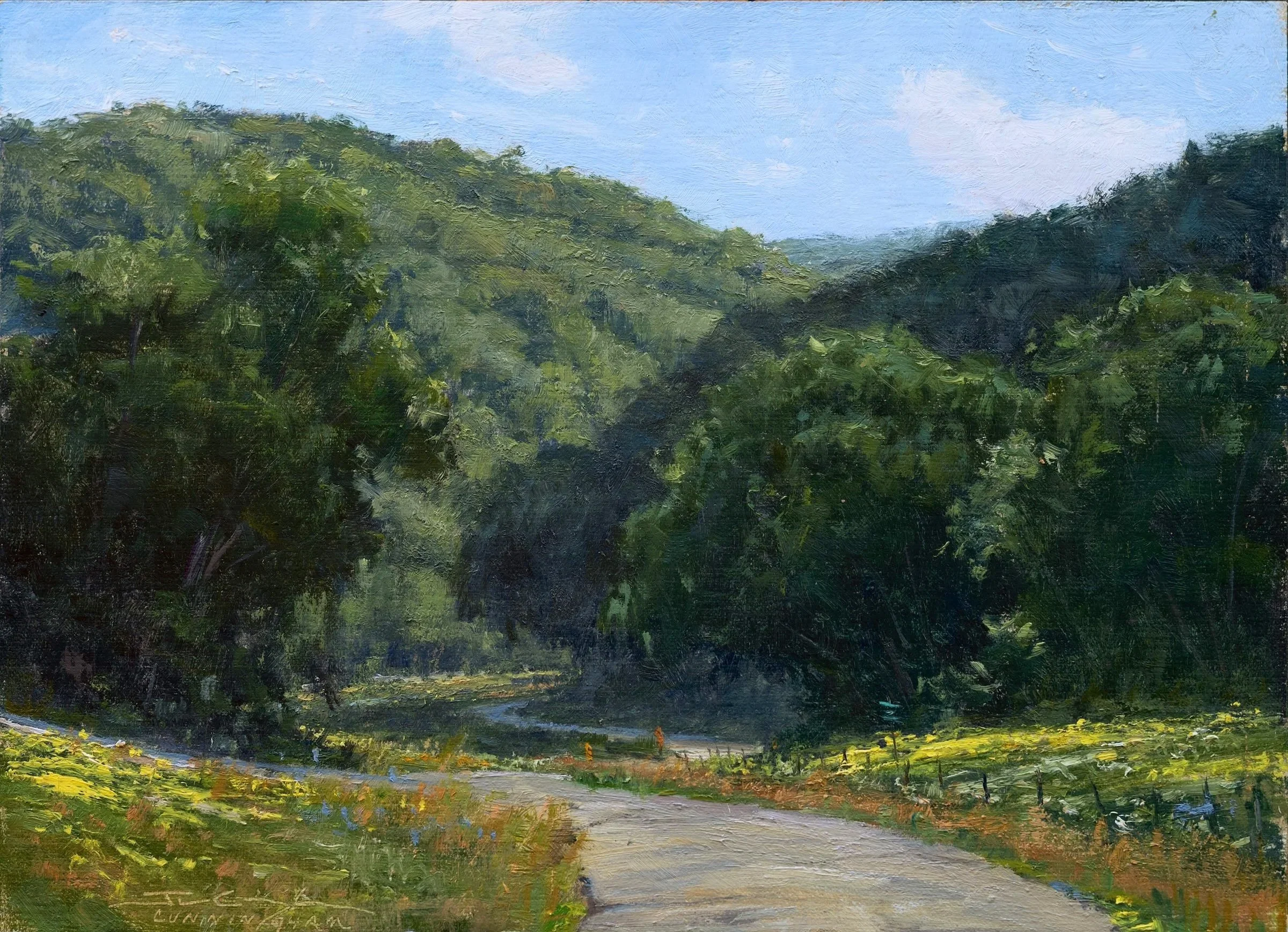    Wildflowers and Cloud Shadows