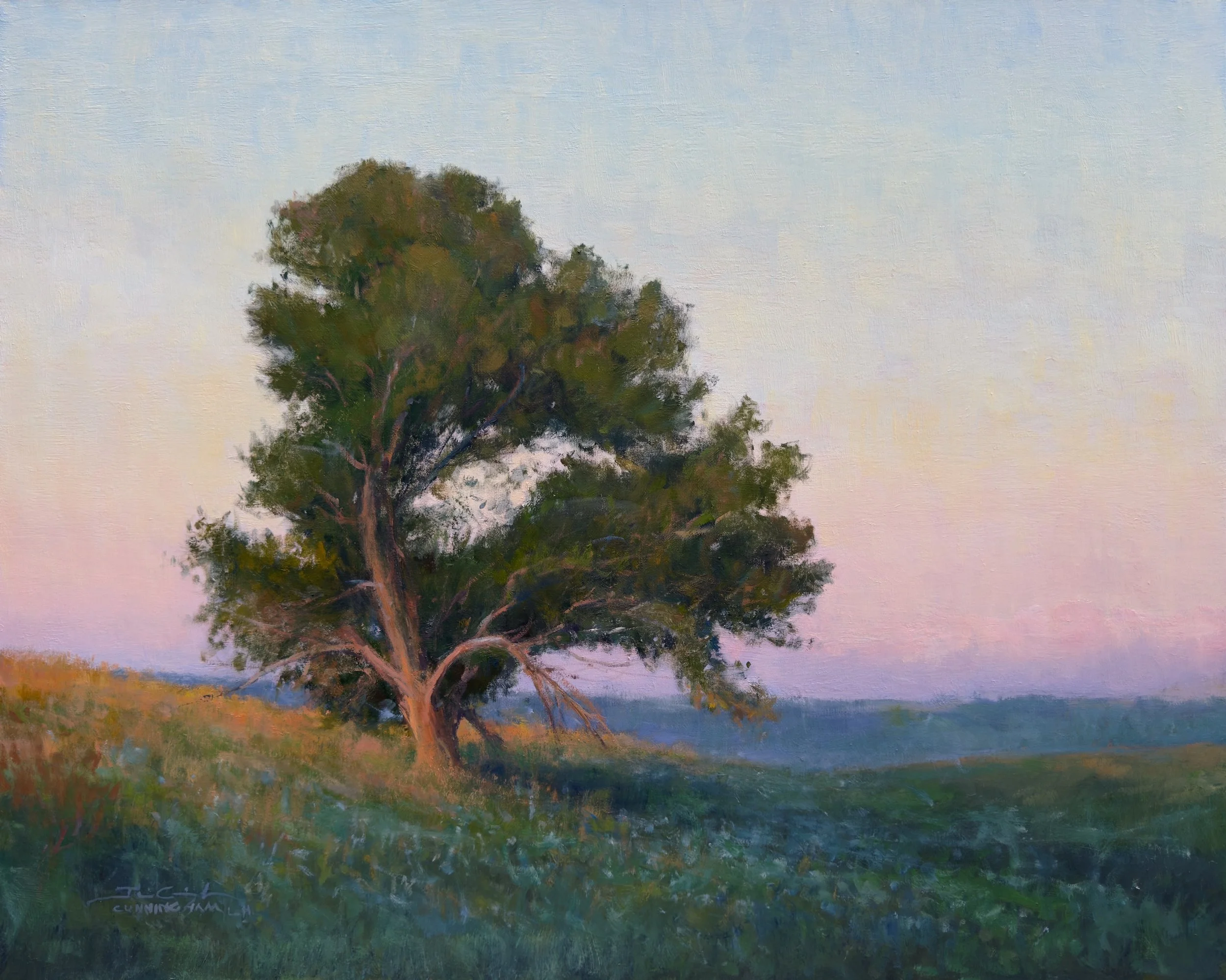 TREES - HOMAGE TO FOLIAGE