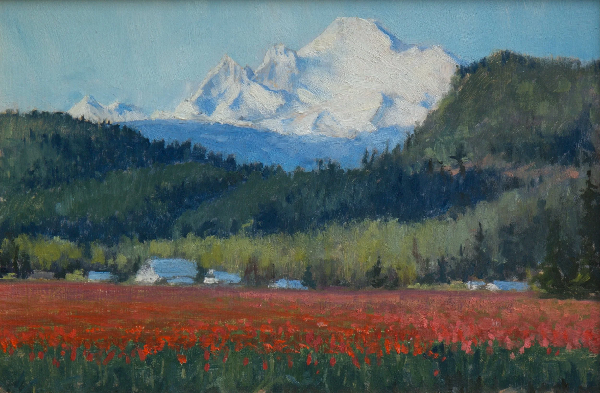 Red Carpet for Mount Baker
