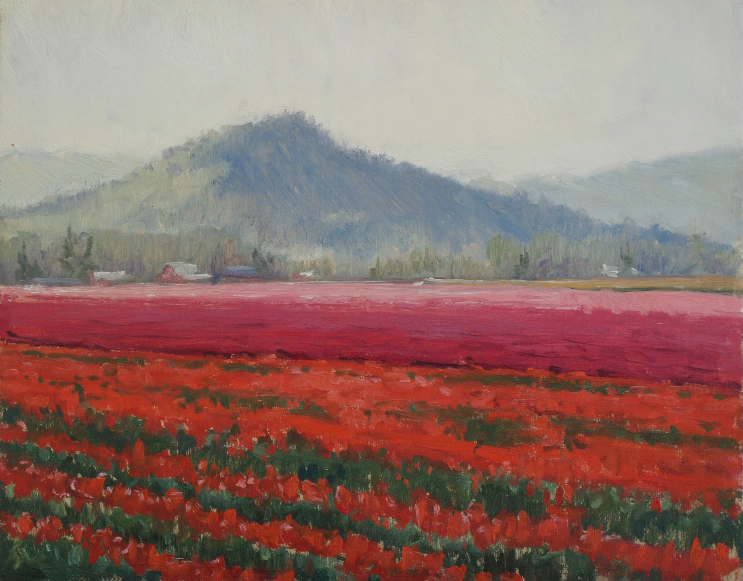 Tulips Under a Silver Sky