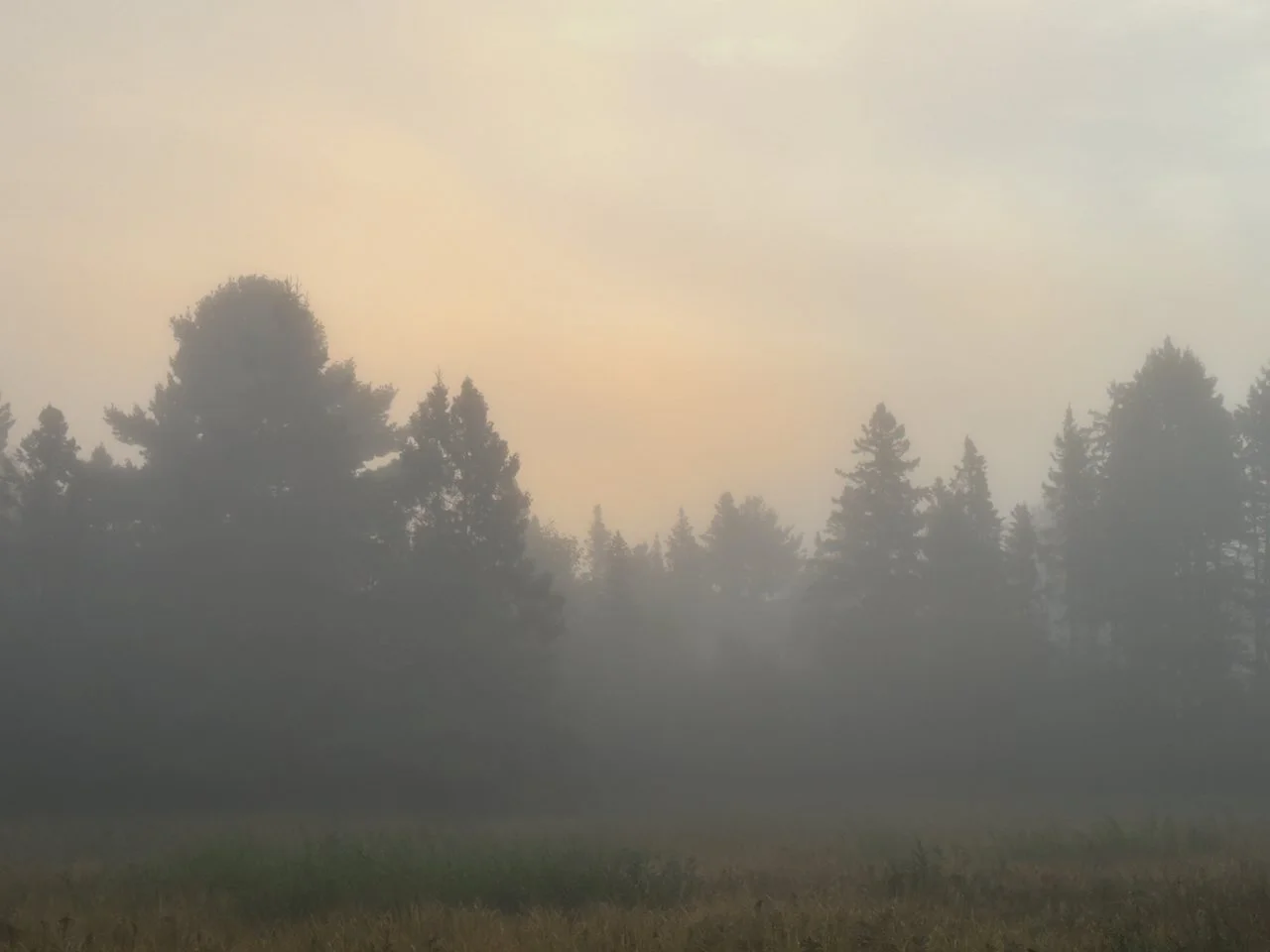 IMG_1814.jpeg