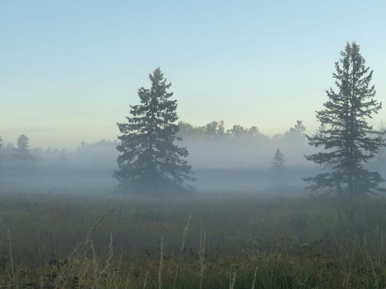 IMG_1765.jpeg