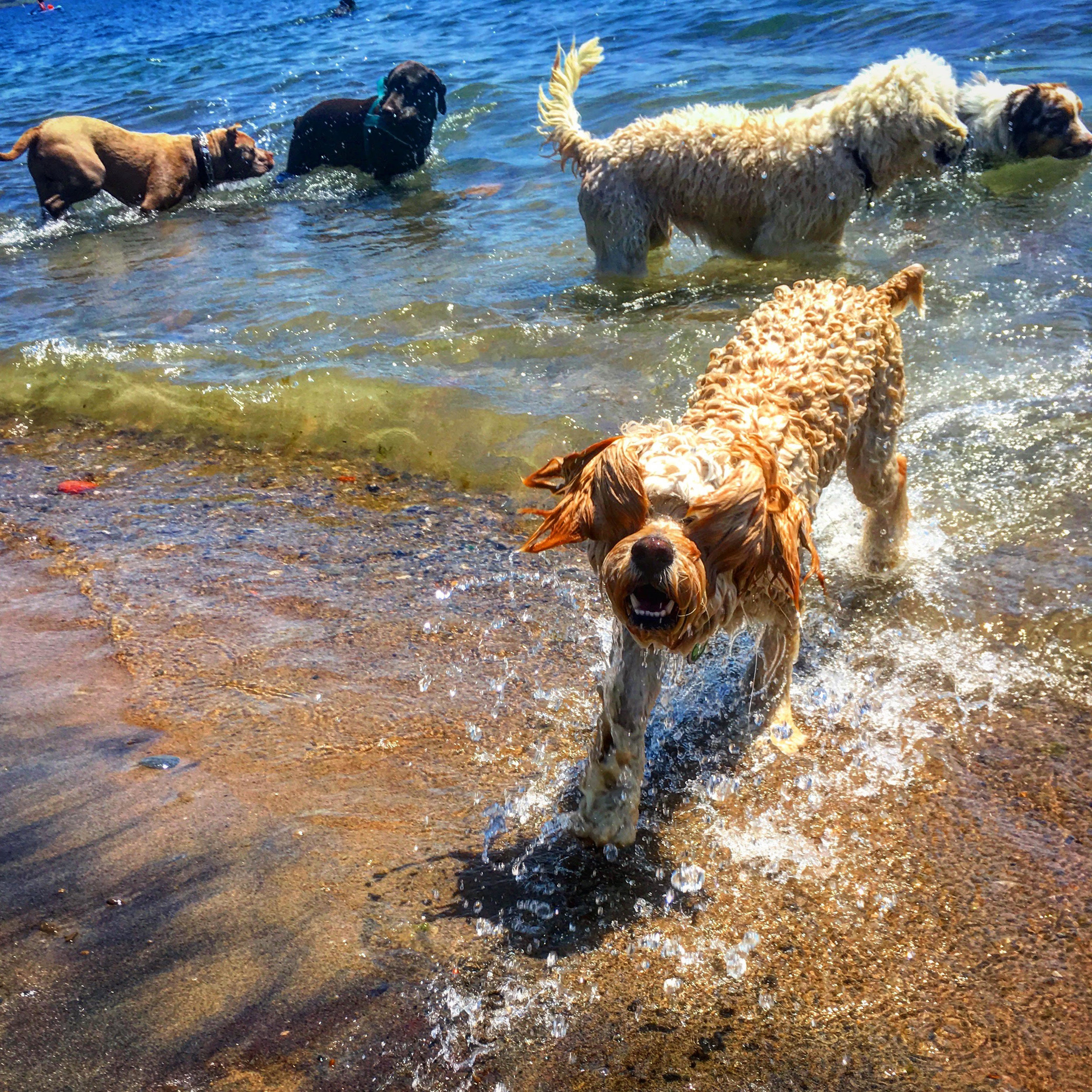 group beach.jpg