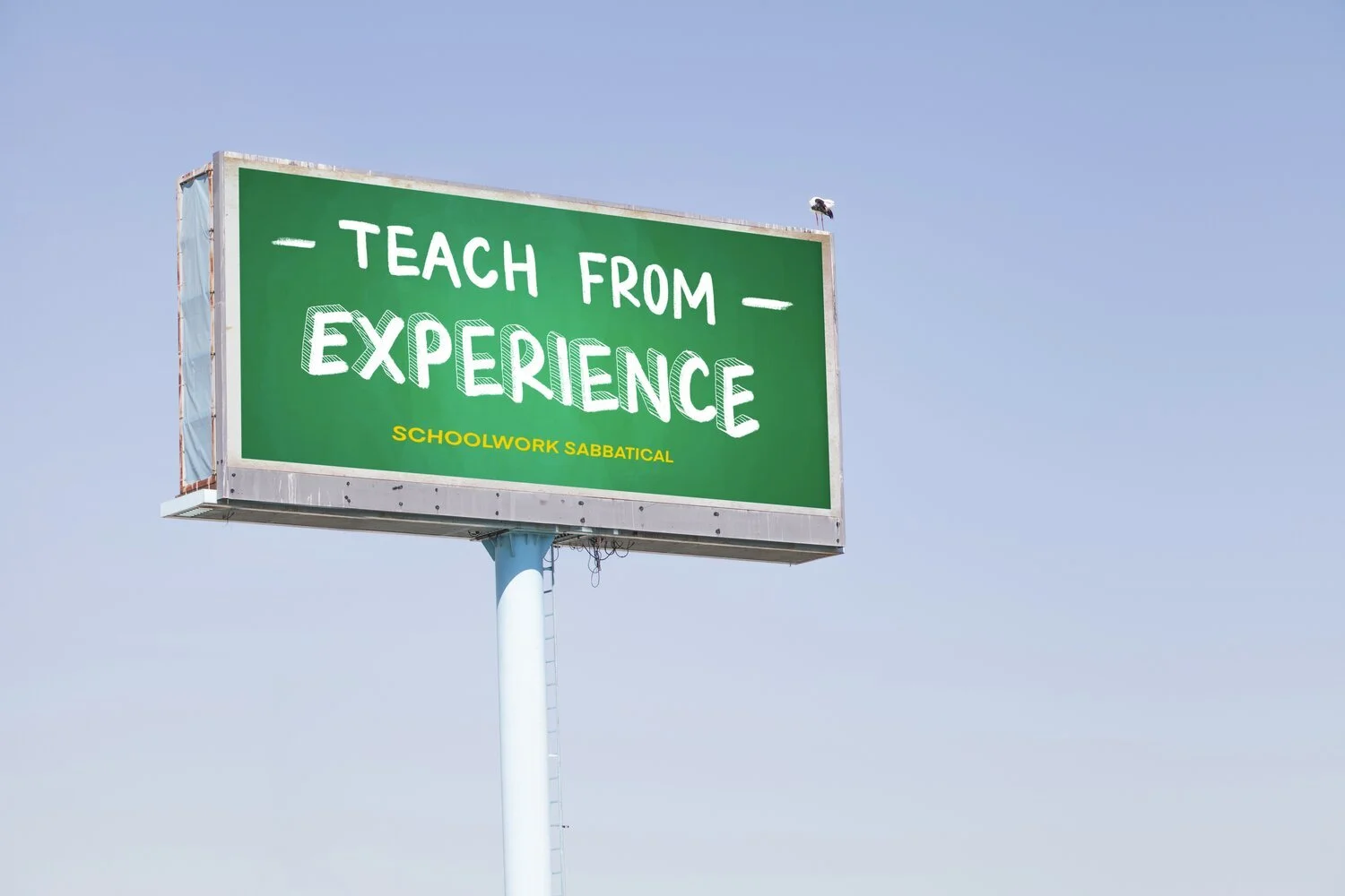 Young Shits: Schoolwork Sabbatical