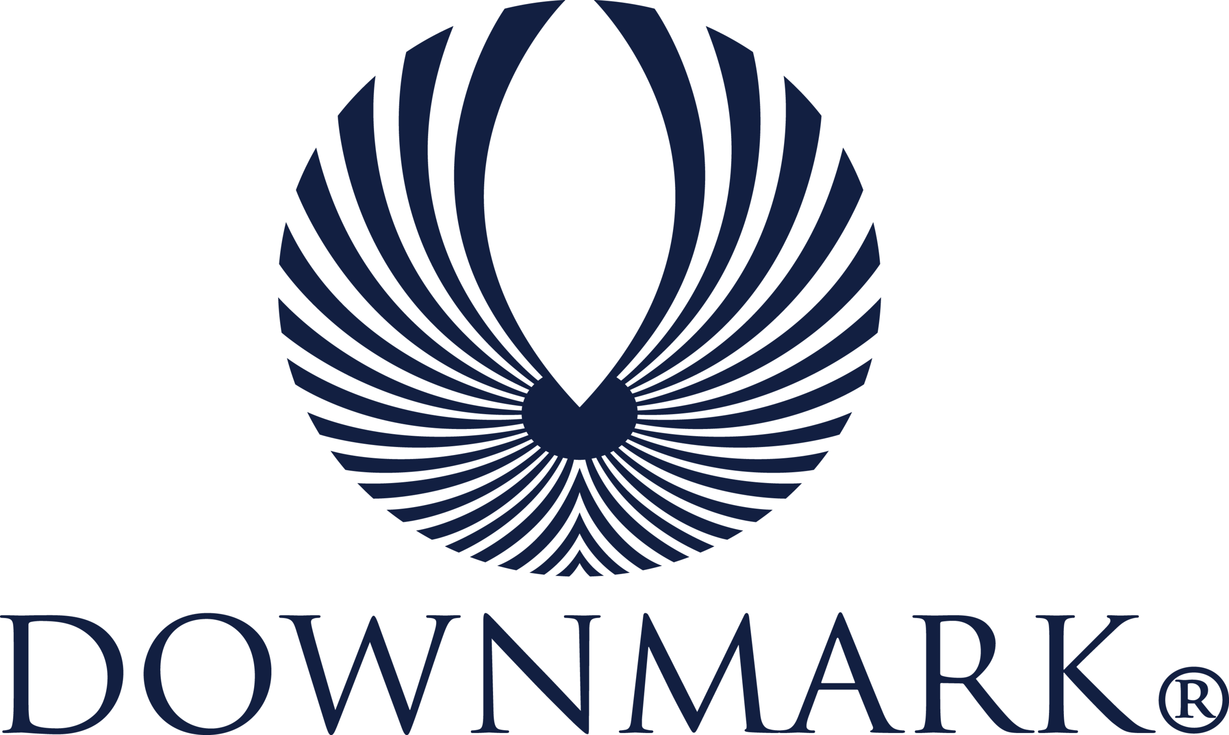 downmark pillows