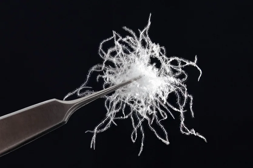 PROGRAMME DOWN√CHECK