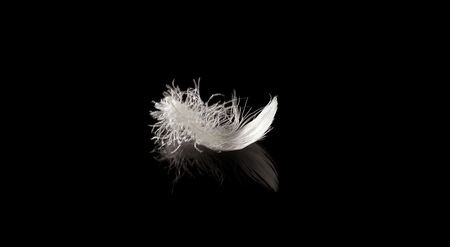 feather and down