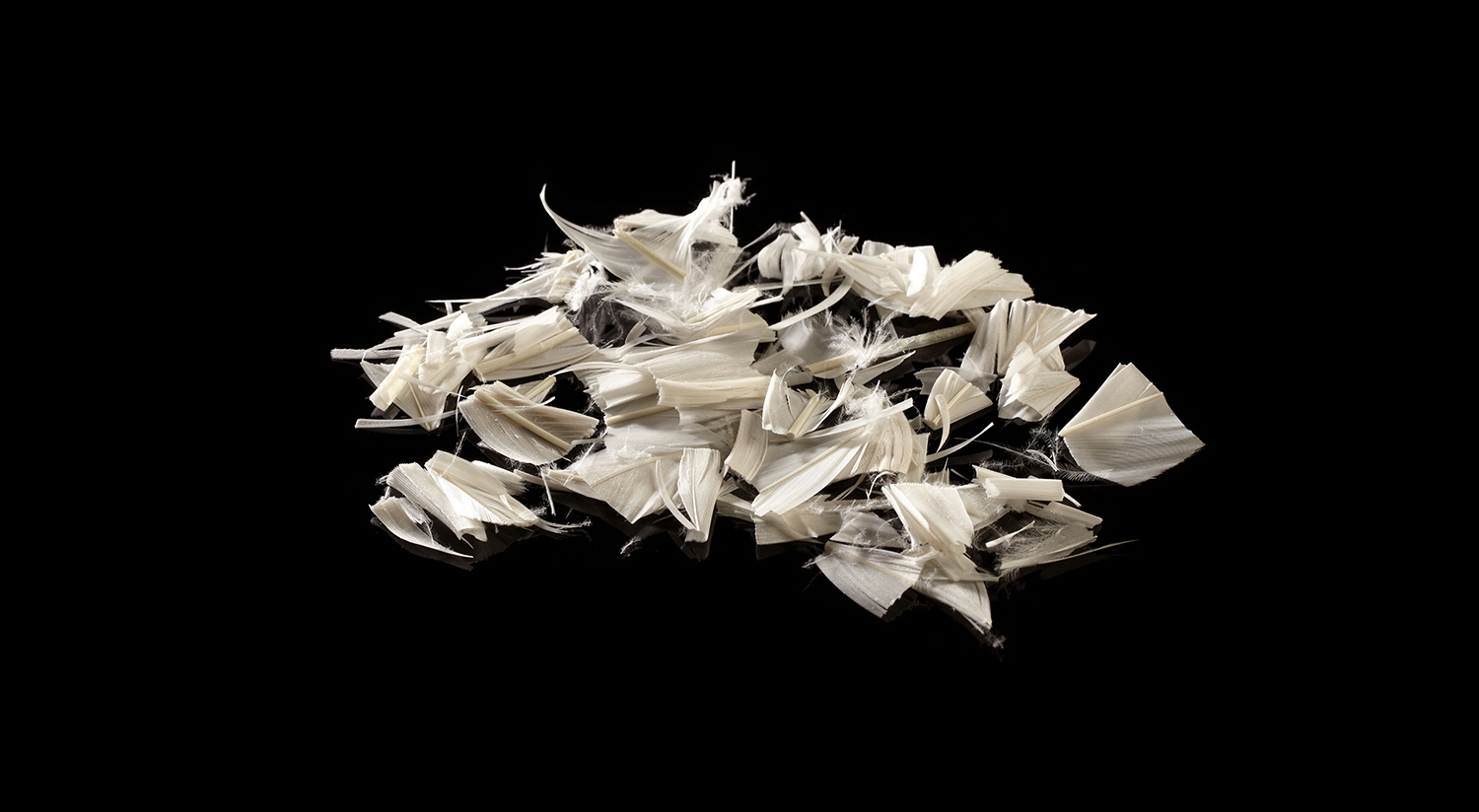 A PILLOW IS FILLED WITH LARGE OR CHOPPED FEATHERS BECOMES FLAT AND COMPRESSED QUICKLY. DOWN PILLOWS ARE SOFTER AND LAST MUCH LONGER.