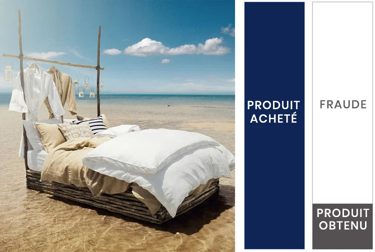 twin+duck+duvet+beyond-French.jpg