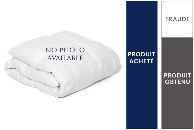 WALMART+2010+WHITE+DOWN+DUVET-French.jpg