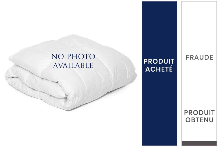 XS+Cargo+goose+down+pillow-French.jpg