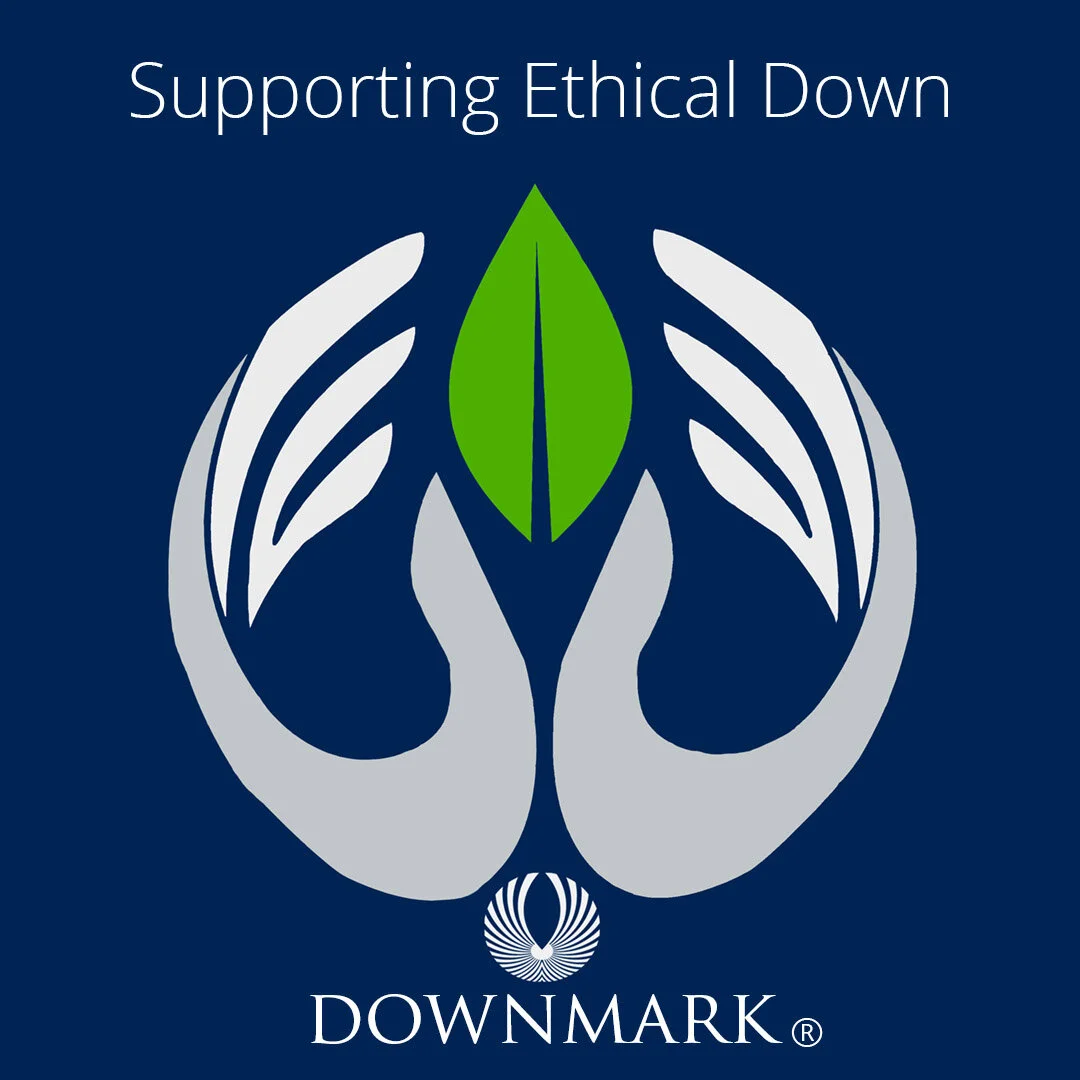 DOWNMARK® and the big Eco-Picture
