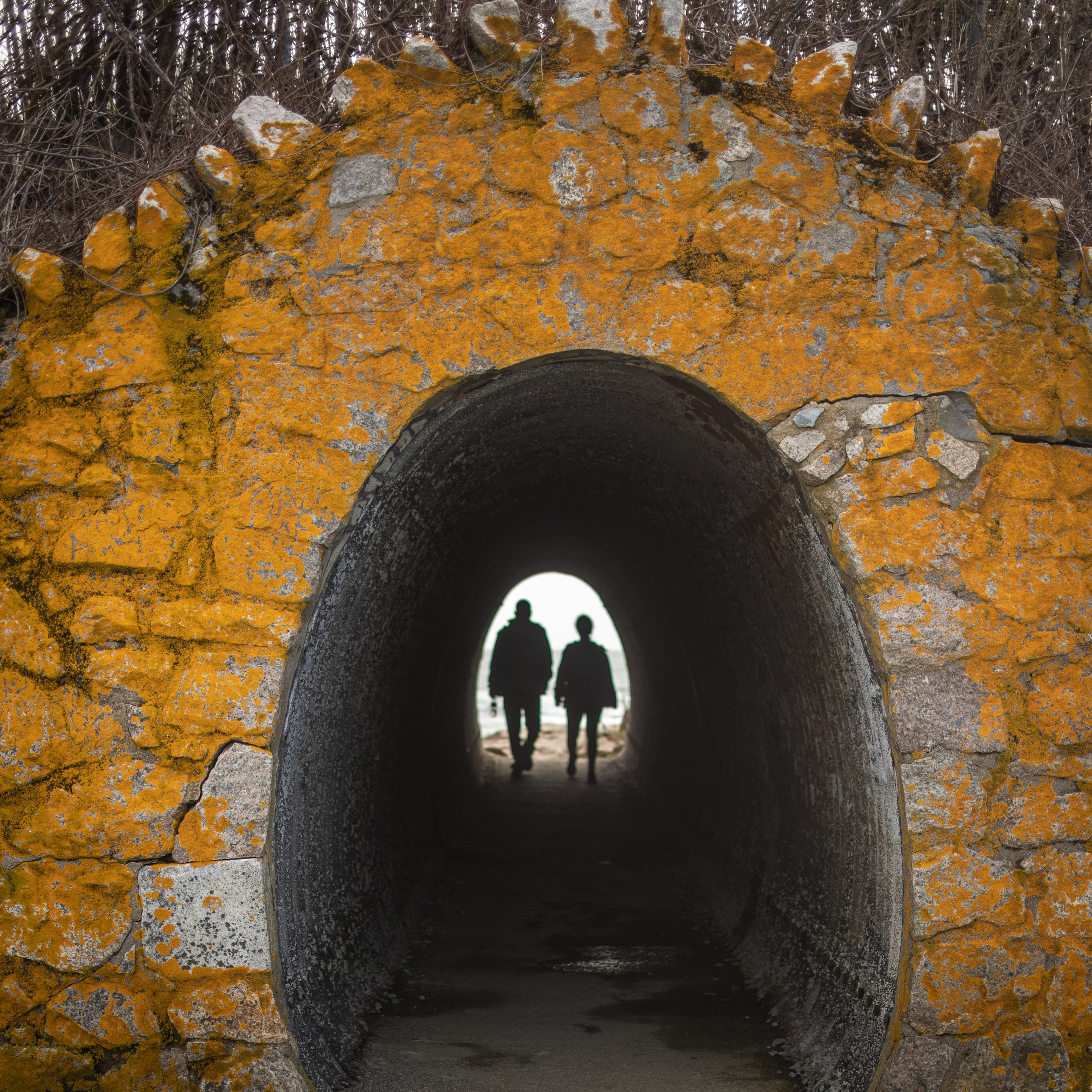 Tunnel on Cliff Walk, Newport, R.I.