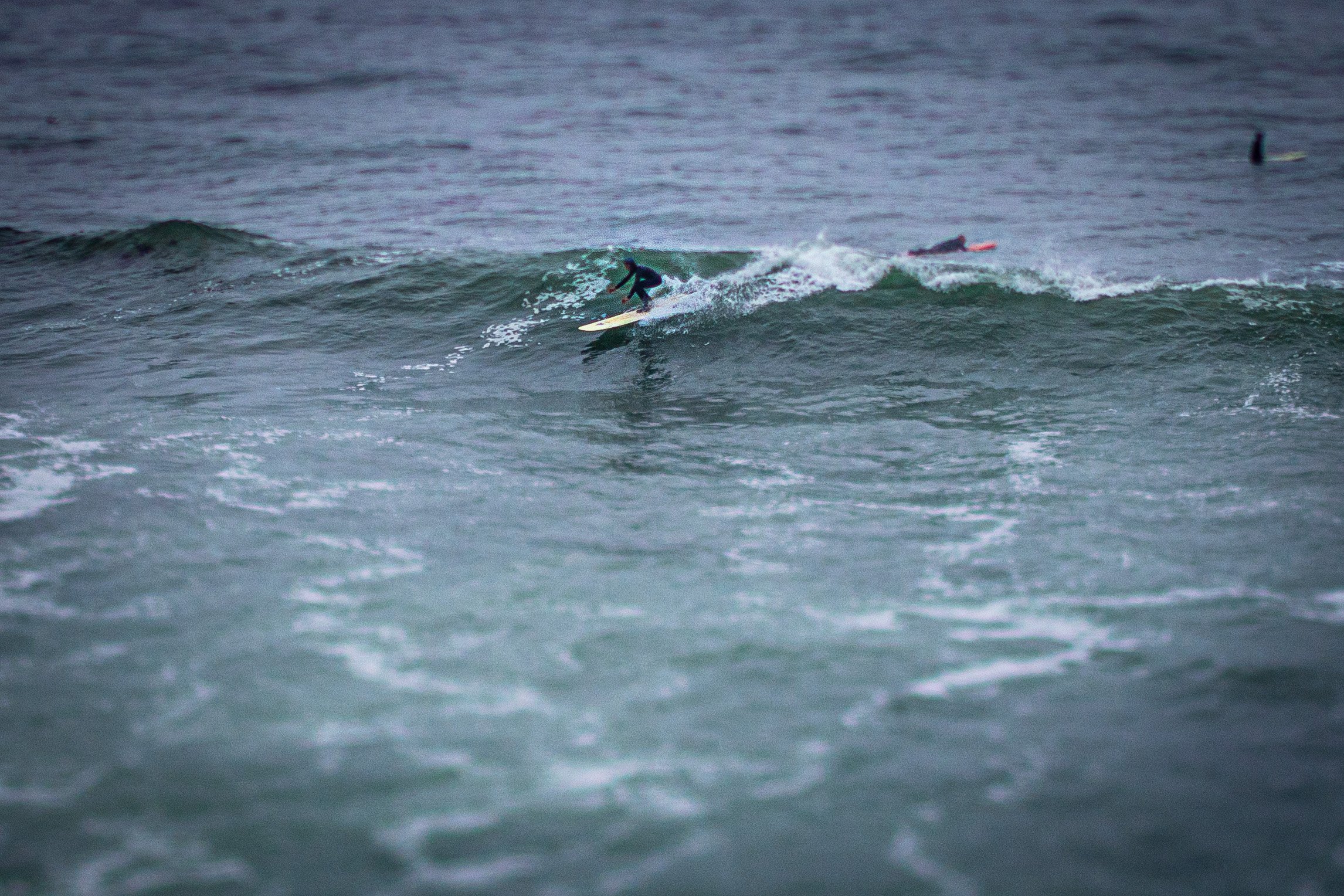 Surfers through tilt-shift lens, Santa Cruz