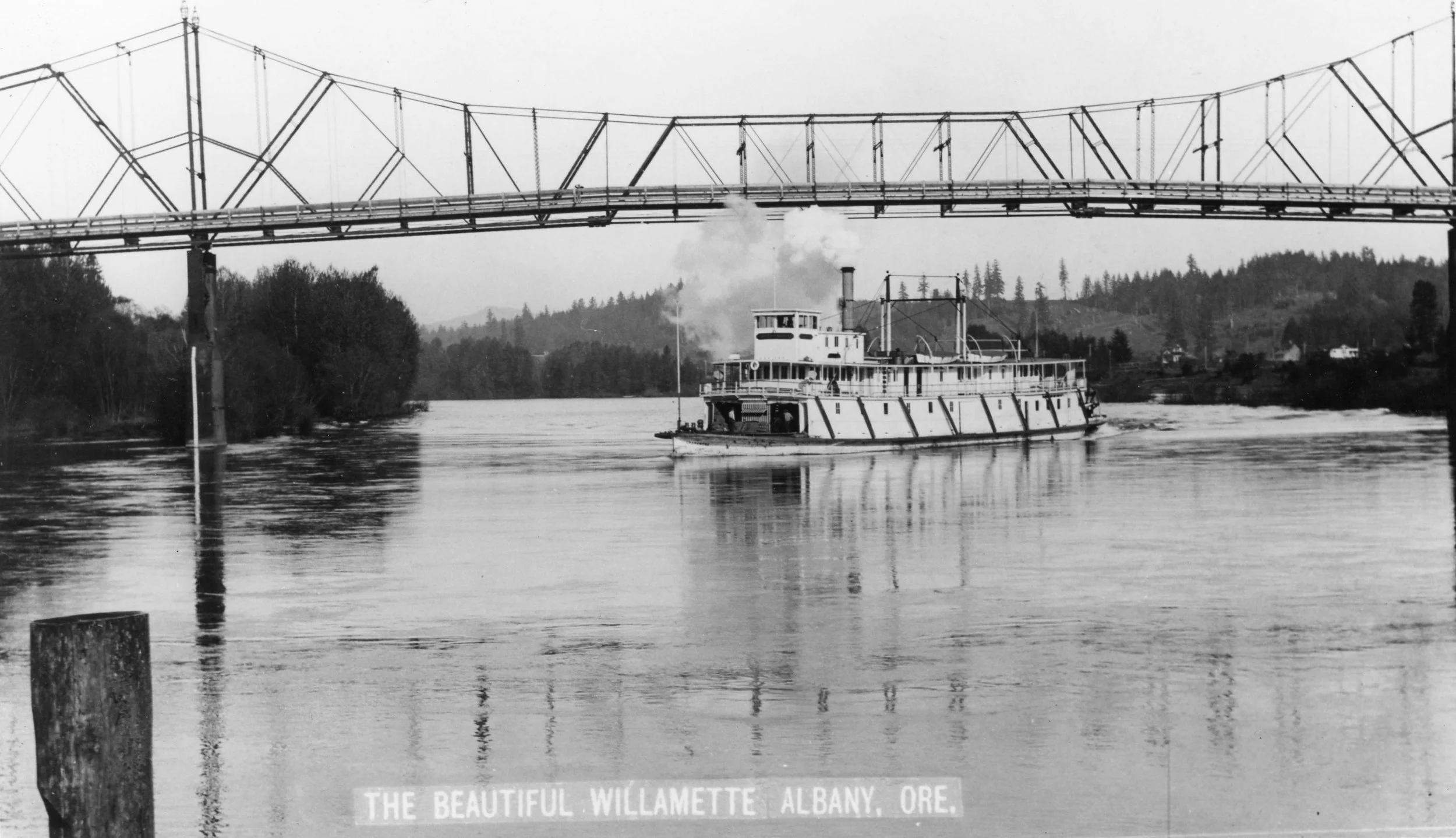 A steamship on the Willamette River going under a bridge with a caption below saying "the beautiful Willamette Albany, ORE."