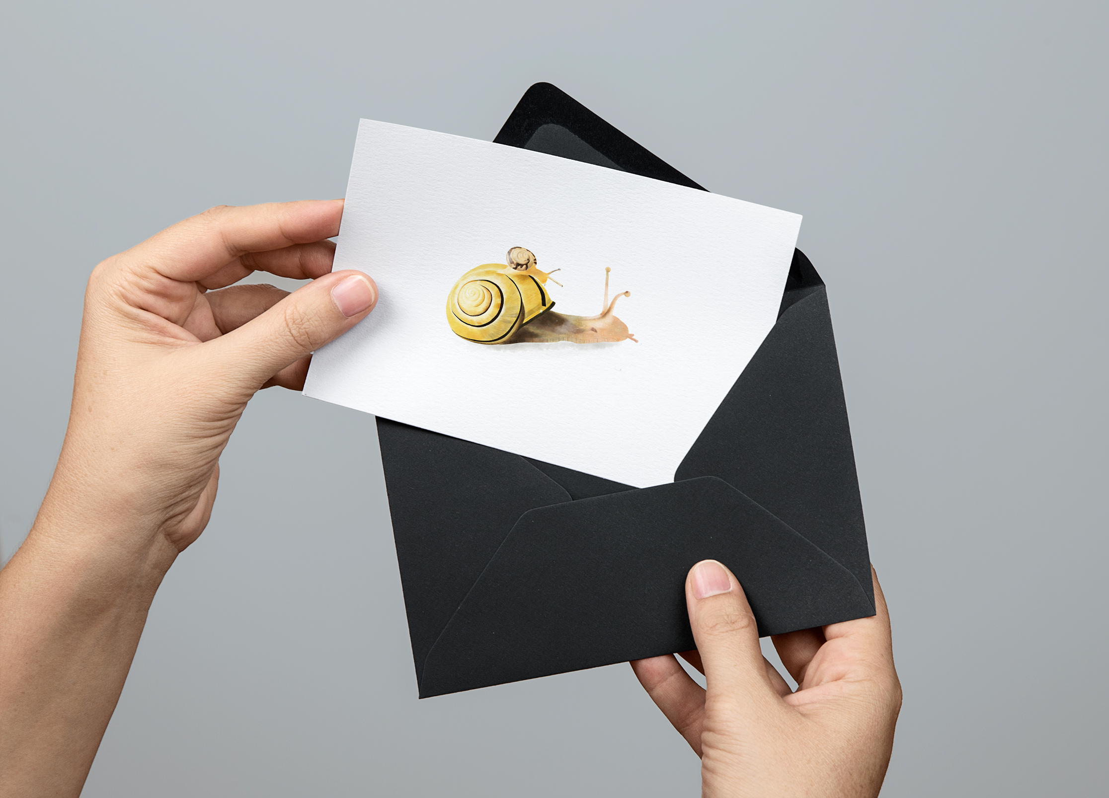 Slugs2 Greeting Card PSD MockUp.png