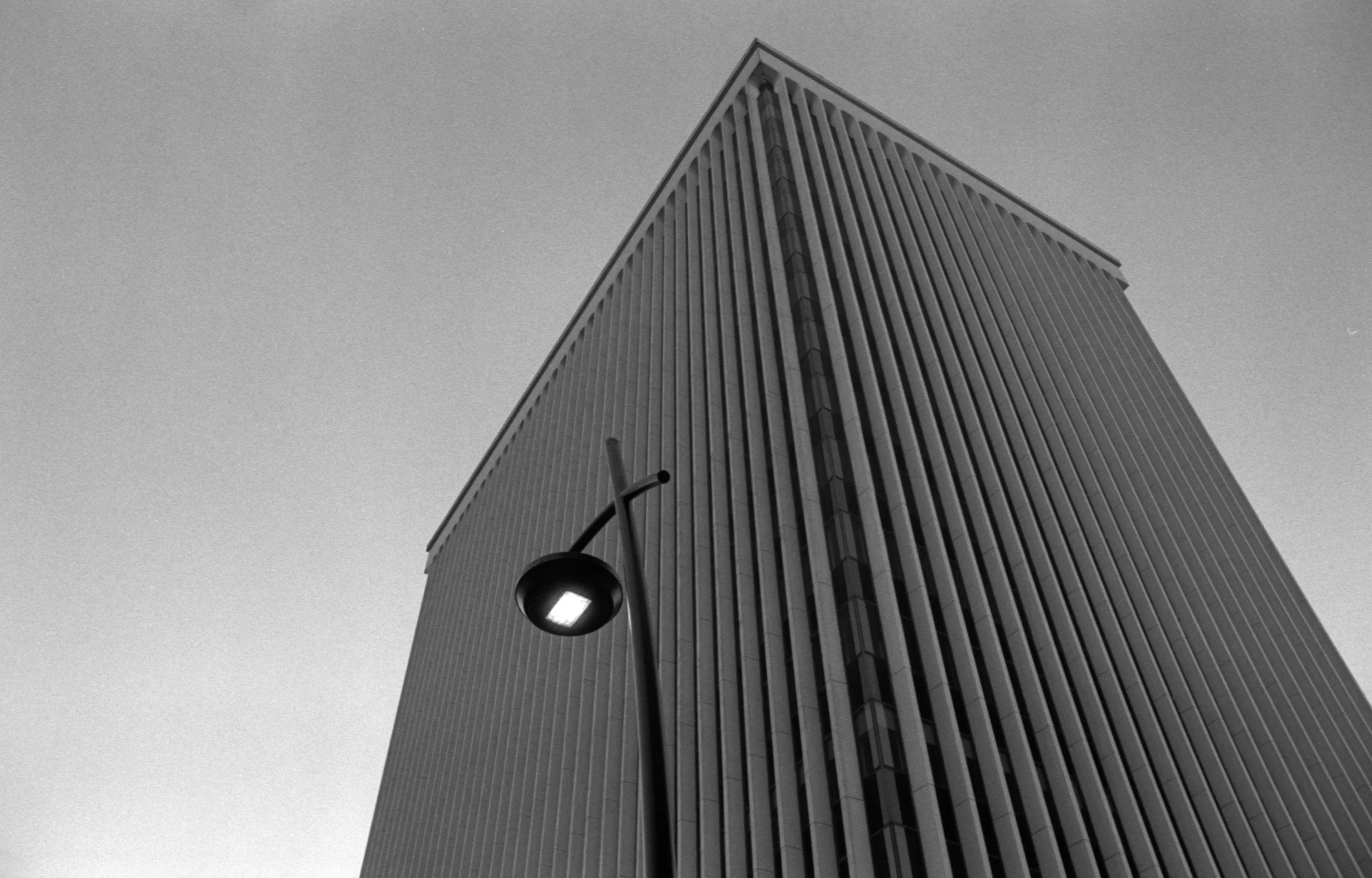 Minolta XGM + Kentmere