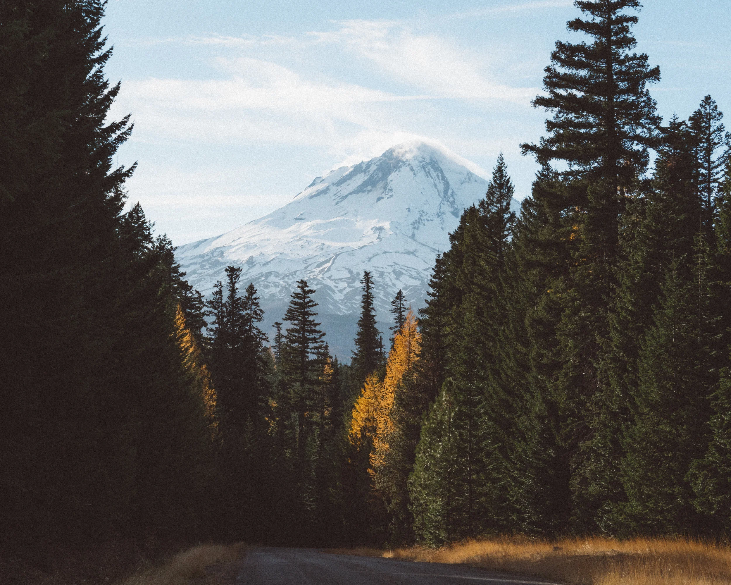 American Road Trip Journal #7: Mt Hood
