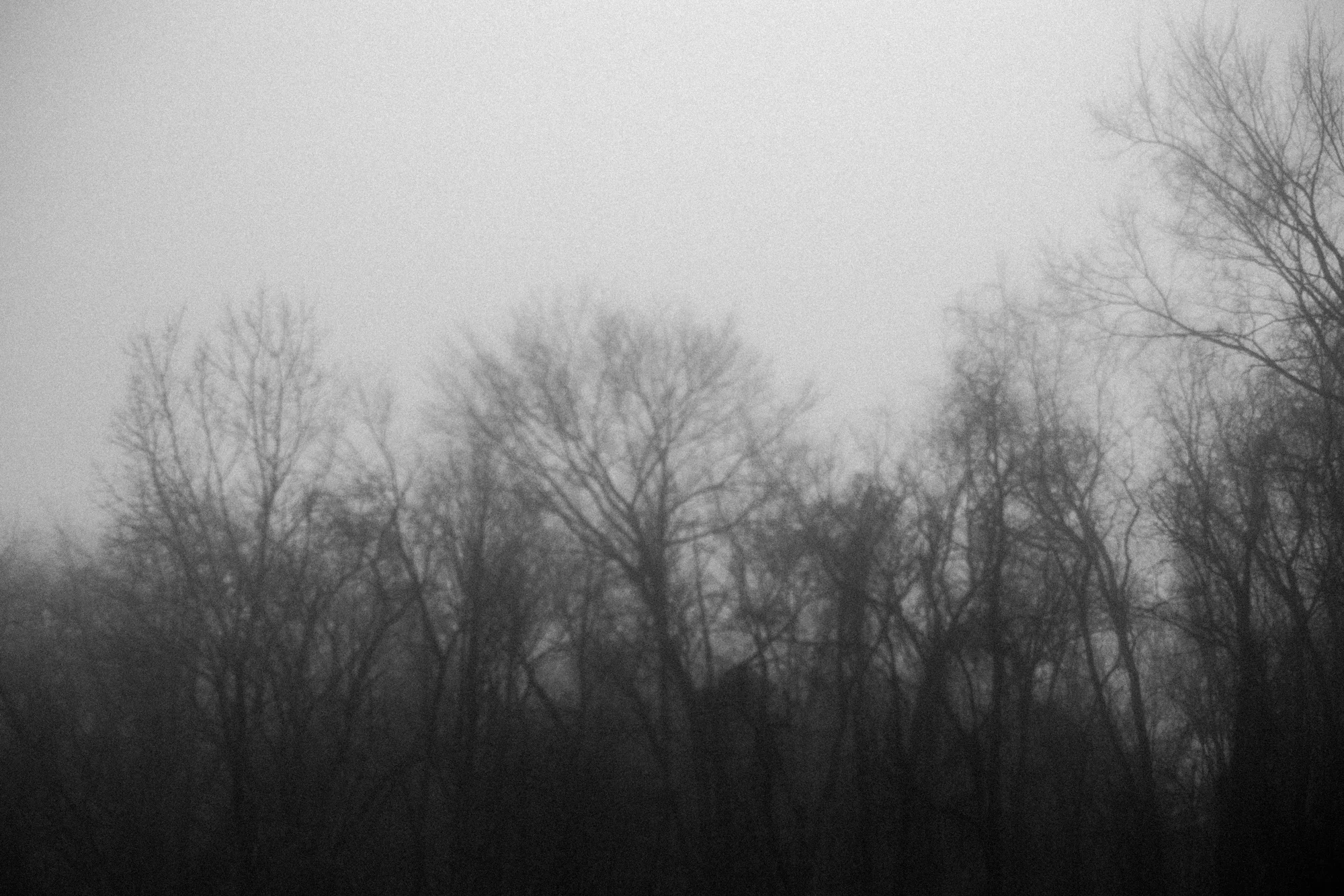 Look for the conditions that will make your photographs tell how you feel about a place