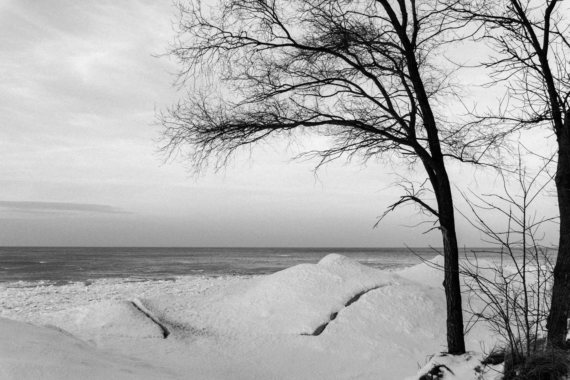 The Indiana Dunes, one of my new "local go-to places"