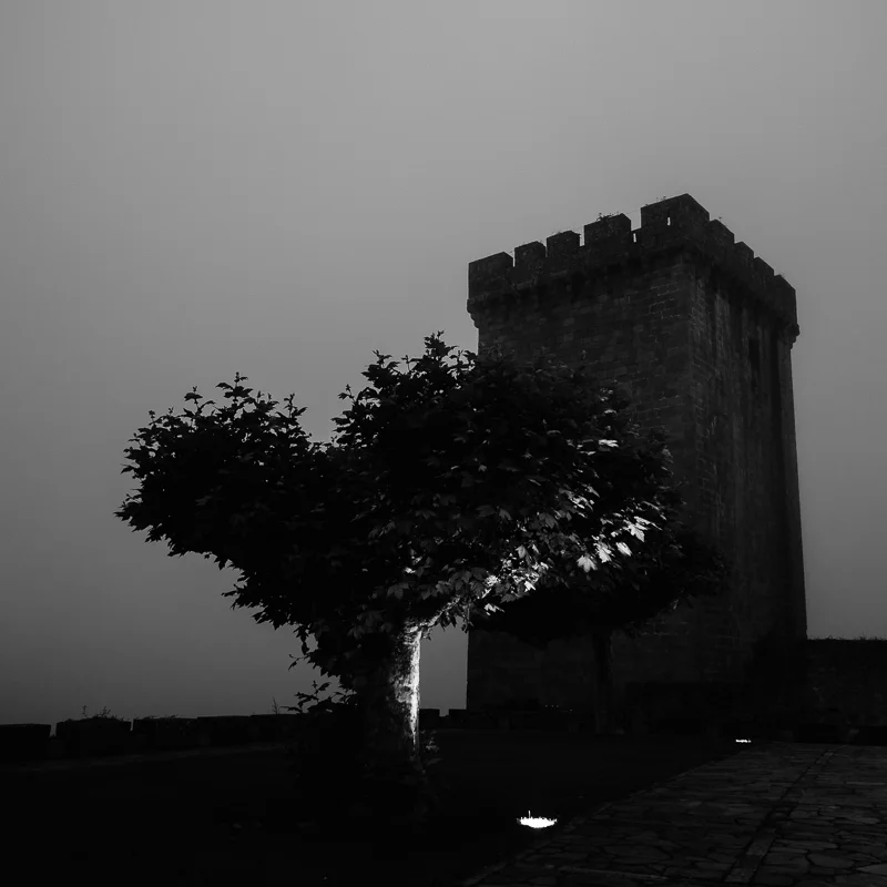 DSC04050-2.jpg