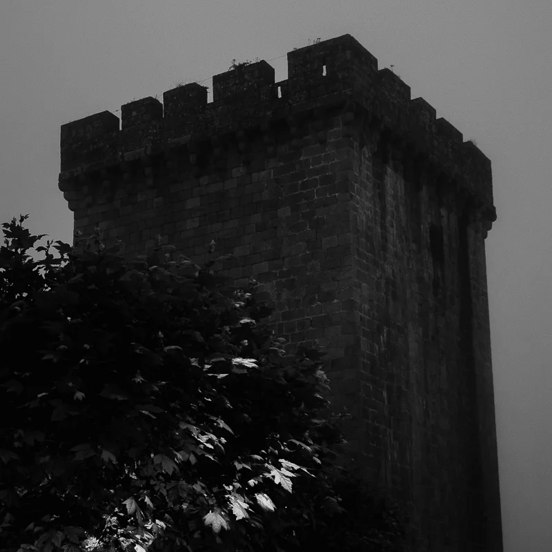 DSC04050-4.jpg