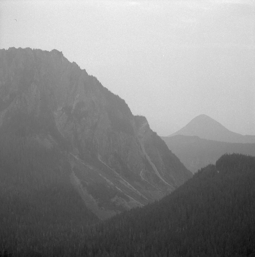 Shot at EI1600, Ilford HP5+, developed with Kodak D-76. Mt Rainier National Park, Washington, 2017.