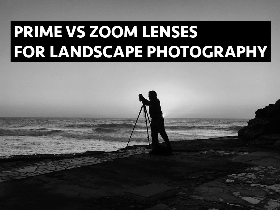 cover_primes_vs_zooms.jpg